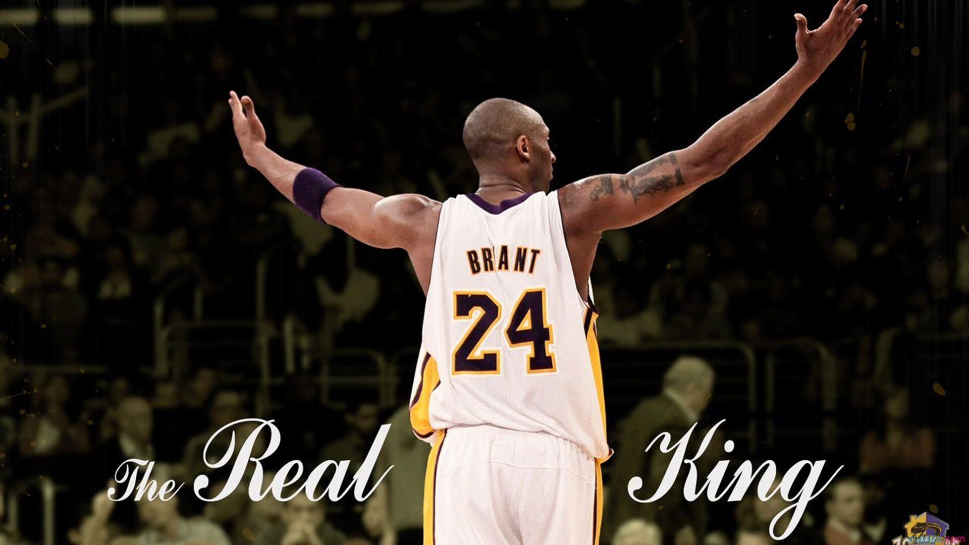 亲临现场：车迷的热情与激情展现